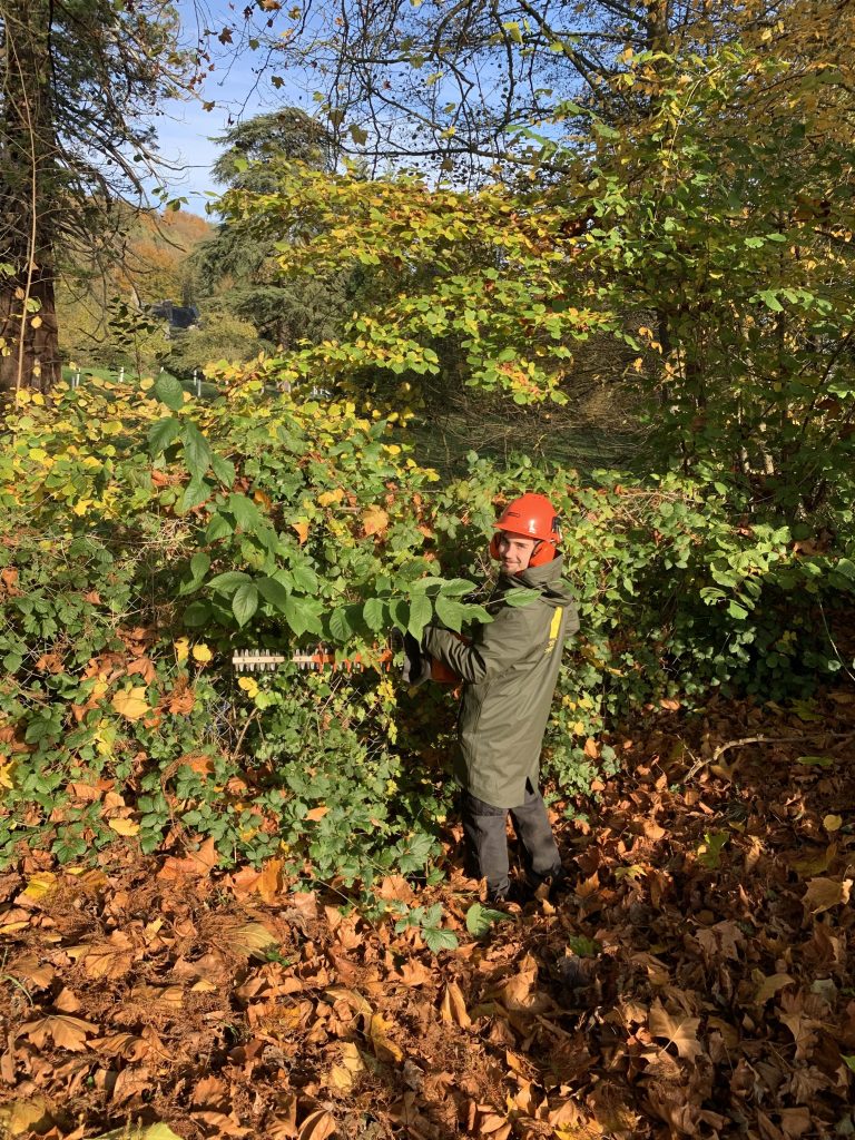 Élève de BP Aménagements Paysagers en activité pratique sur le terrain