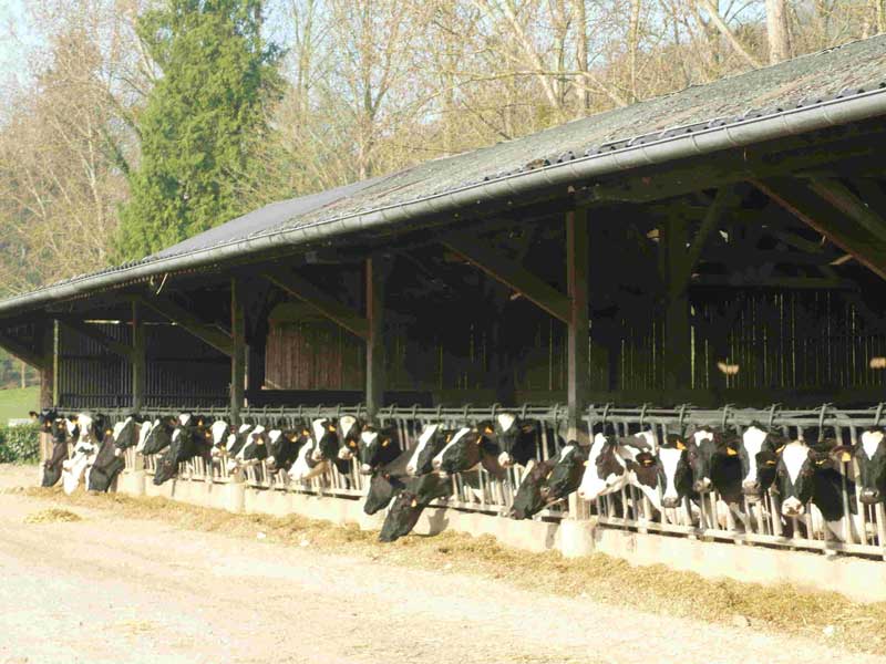 Ferme laitière partenaire du Lycée Agricole Privé de Tourville-sur-Pont-Audemer