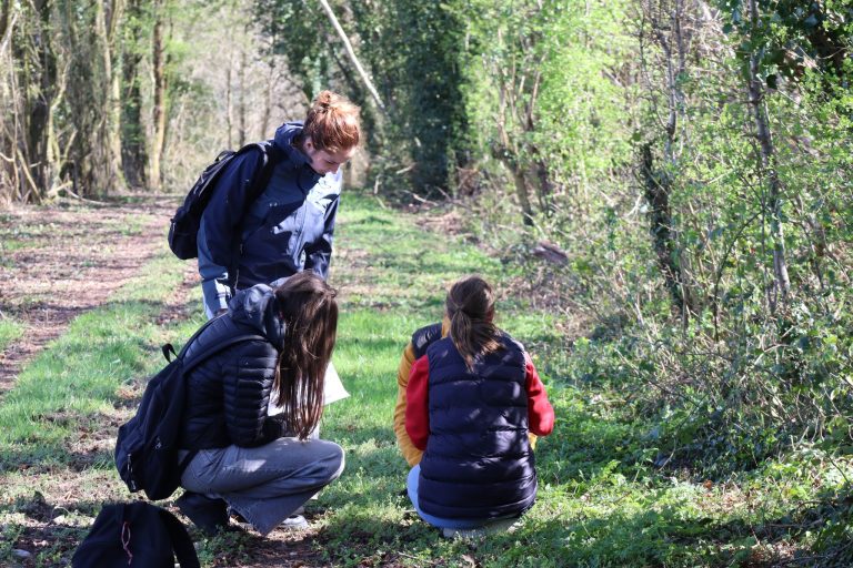 Élèves de la filière STAV du Lycée Agricole analysant la flore lors d'un stage collectif
