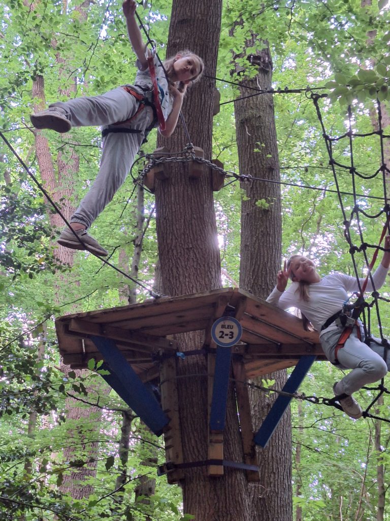 Élèves de Seconde Générale et Technologique en sortie scolaire à l’accrobranche