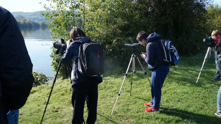 Élève de la filière STAV utilisant une longue-vue pour observer la faune et la flore