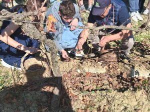 Italie - gravina Ferme