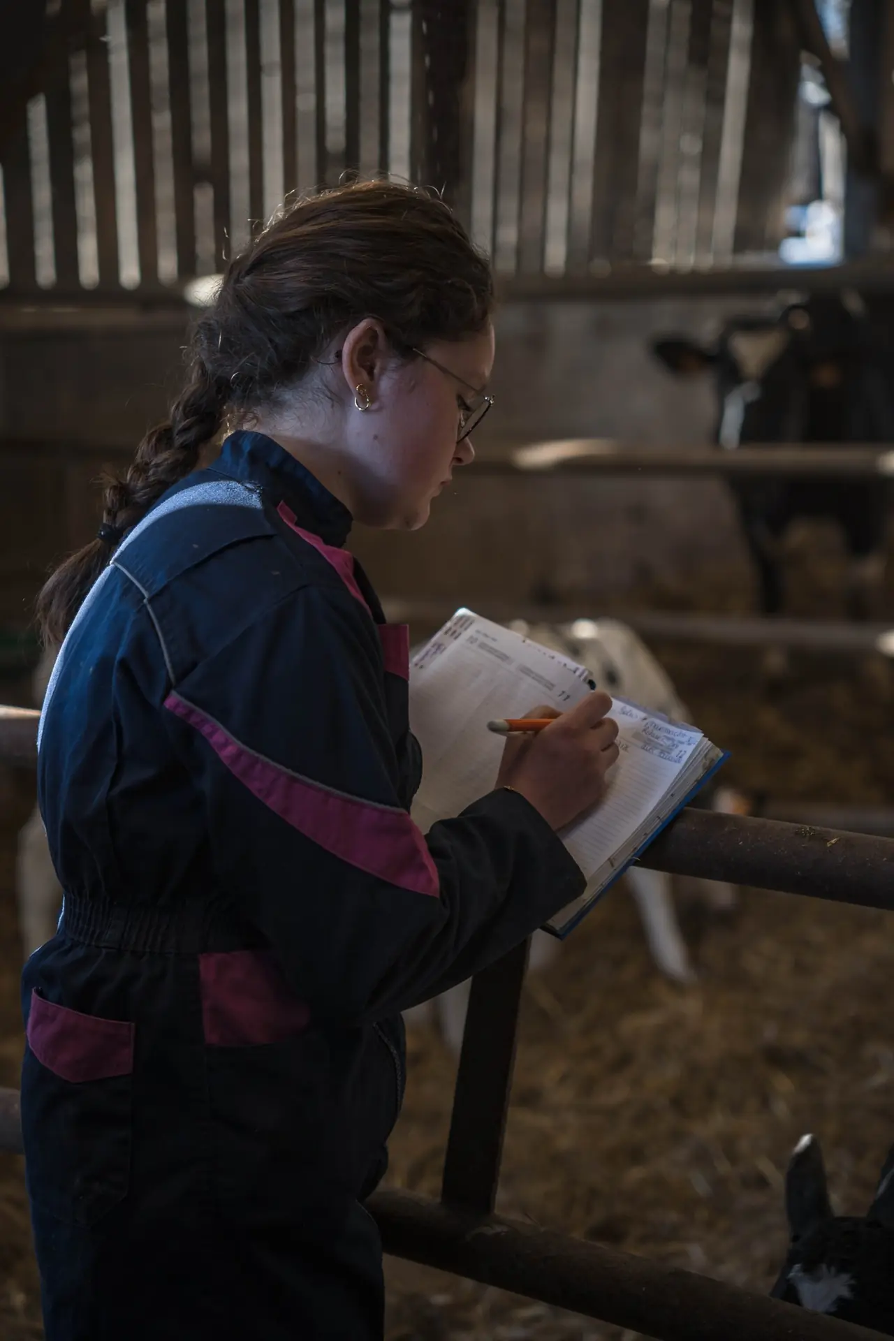Élève de 1re Bac Pro CGEA qui écrit dans un carnet de suivi devant les veaux
