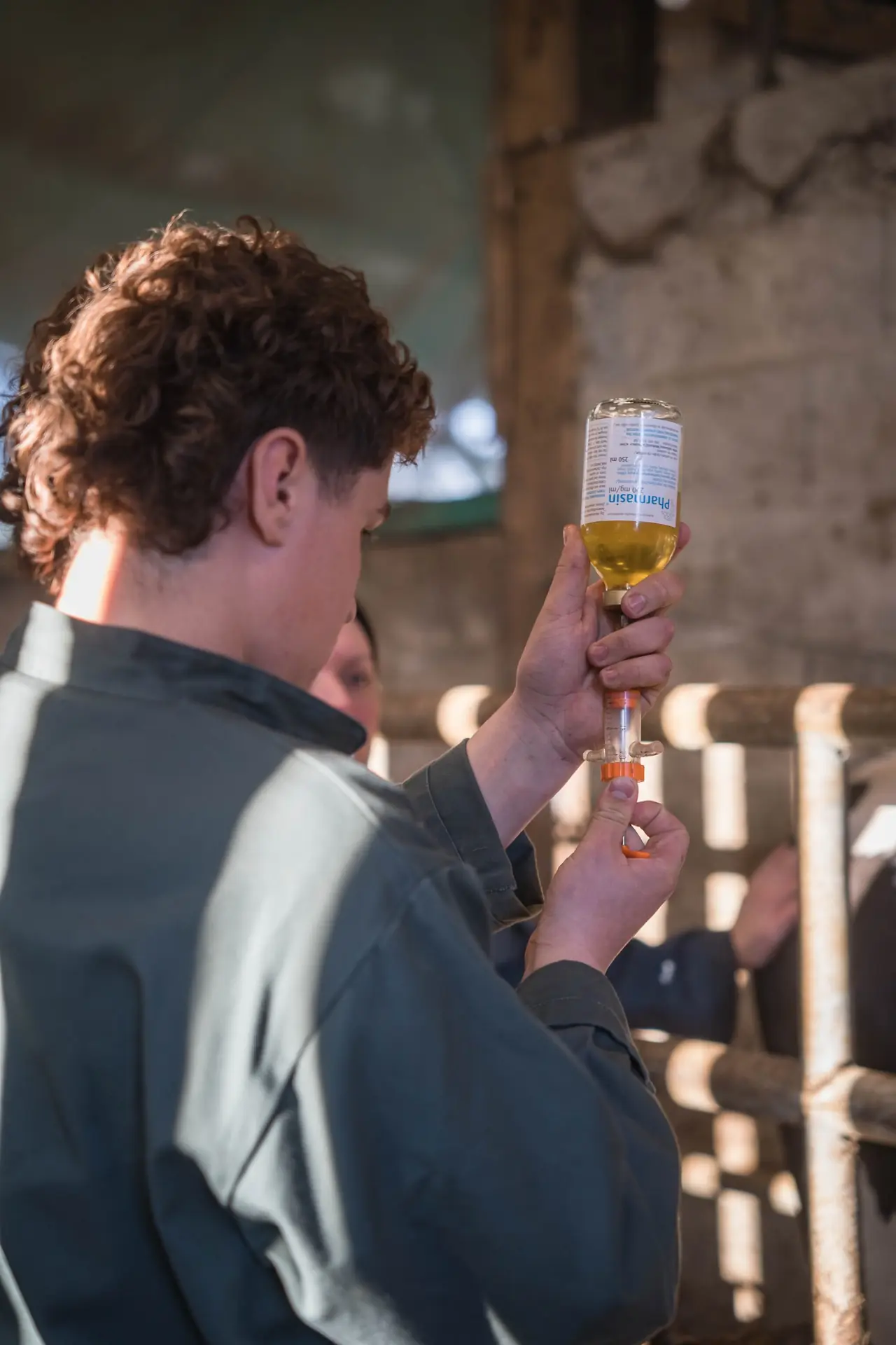 Élève de 1re Bac Pro CGEA qui remplit une seringue avant un soin aux bovins, à la ferme des Bruyères